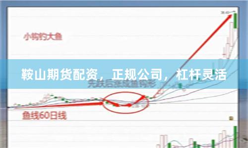 鞍山期货配资，正规公司，杠杆灵活