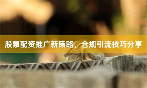 股票配资推广新策略，合规引流技巧分享