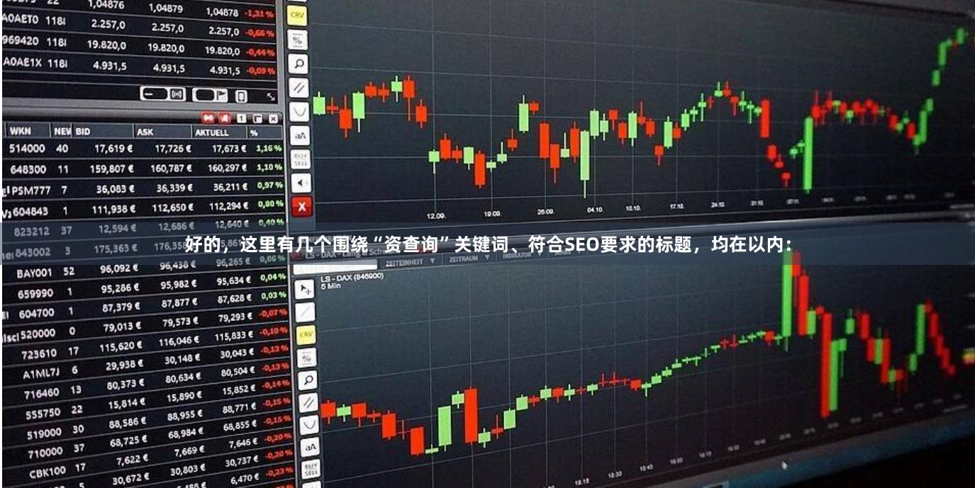 好的，这里有几个围绕“资查询”关键词、符合SEO要求的标题，均在以内：