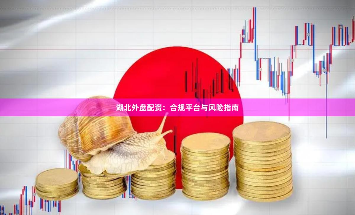 湖北外盘配资：合规平台与风险指南